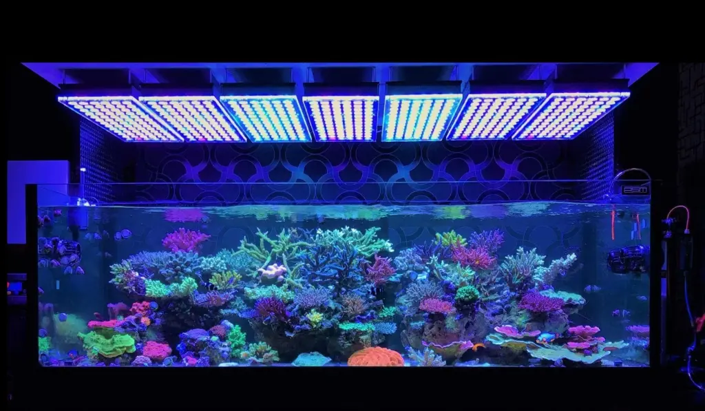 Aquarium
