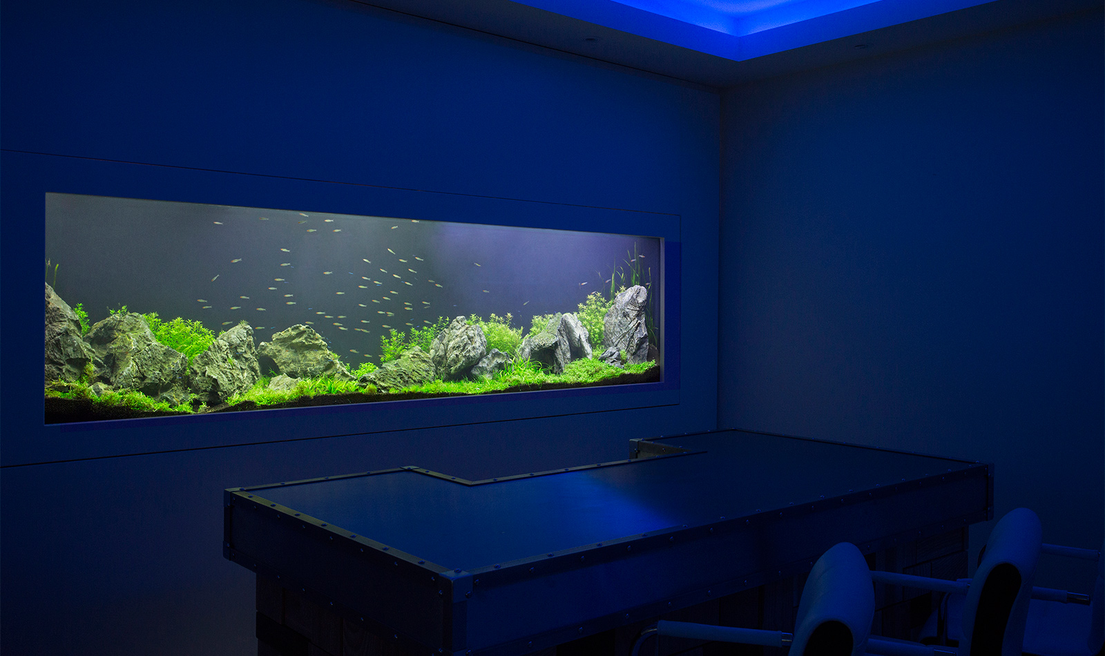 aquarium salle de réunion