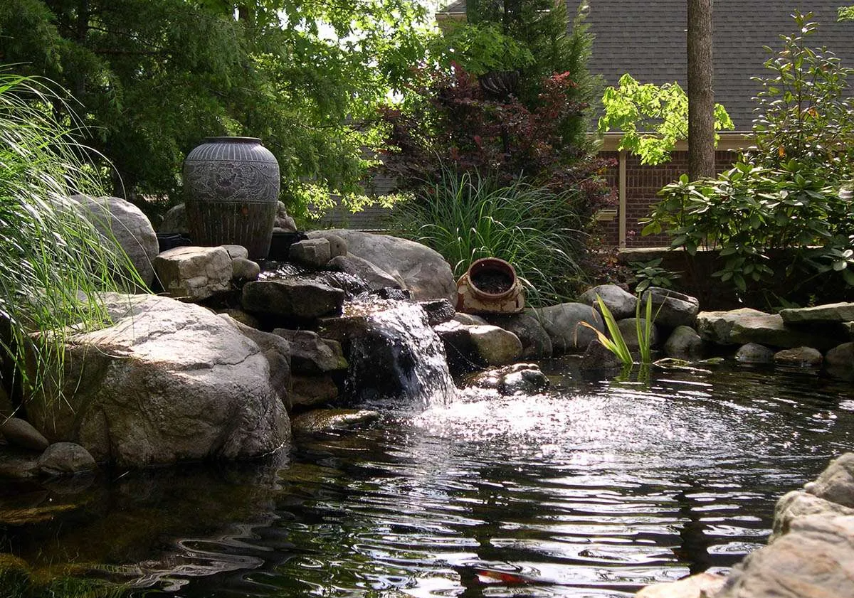bassin cascade jardin