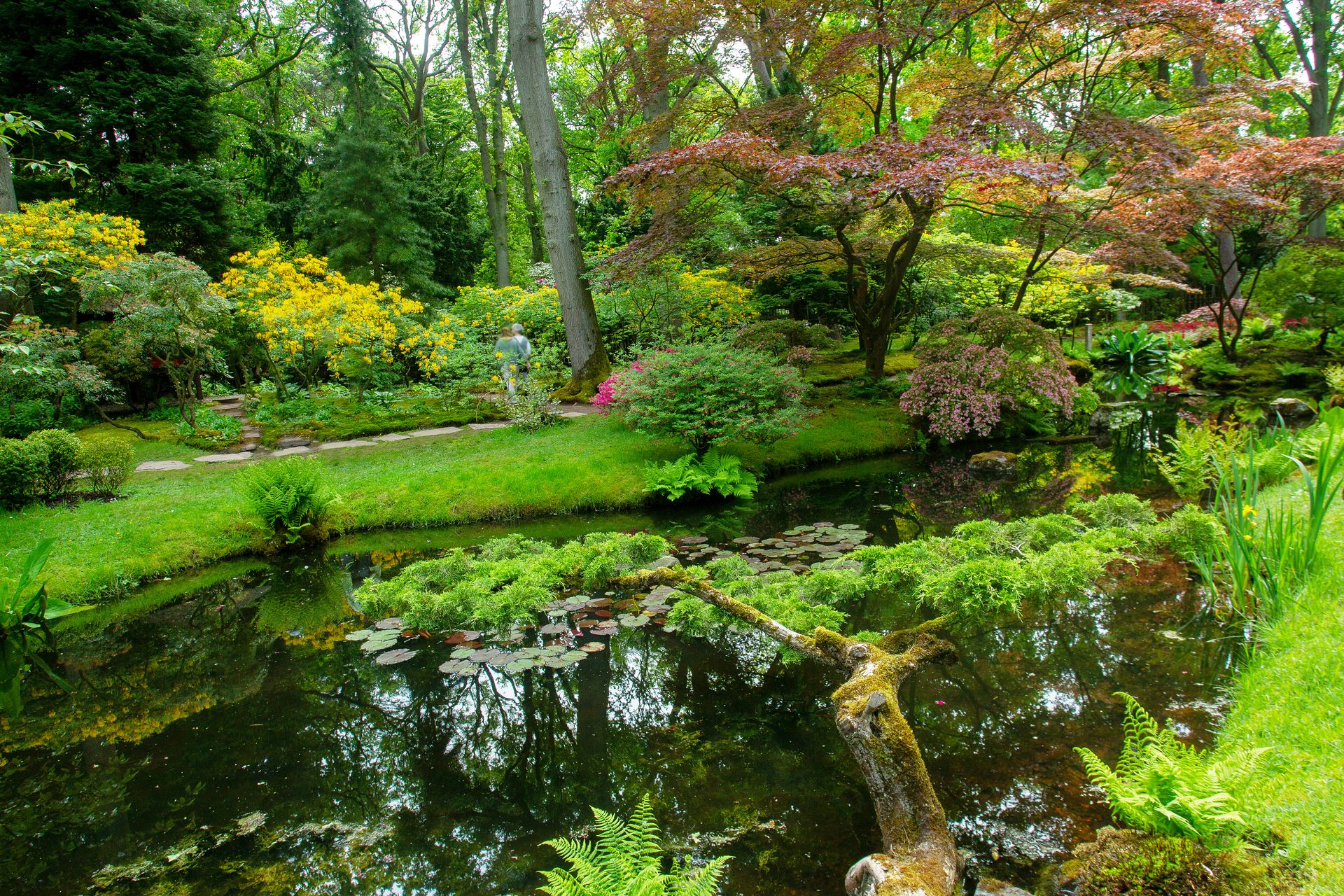 bassin ornement jardin