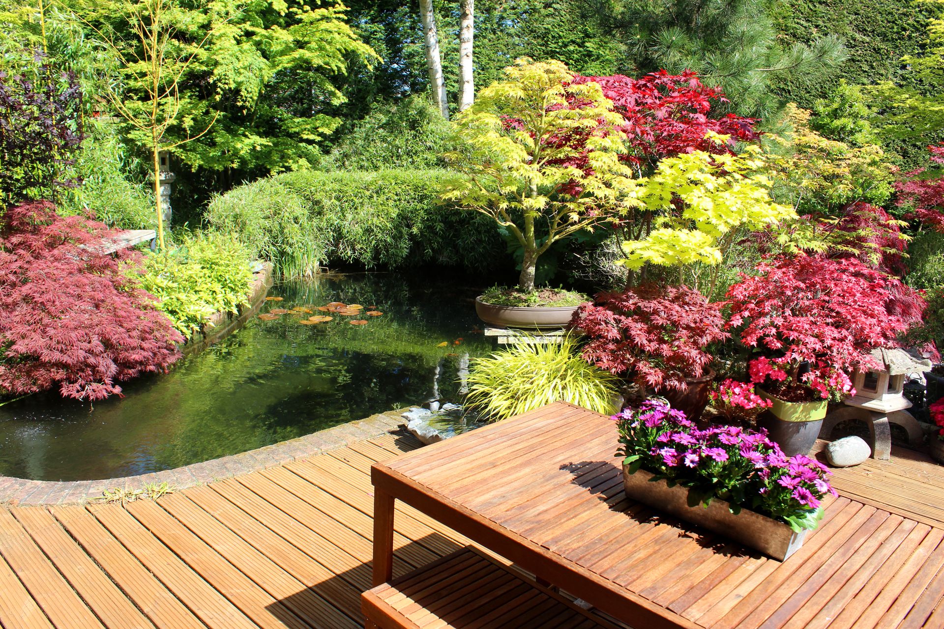 bassin ornement jardin