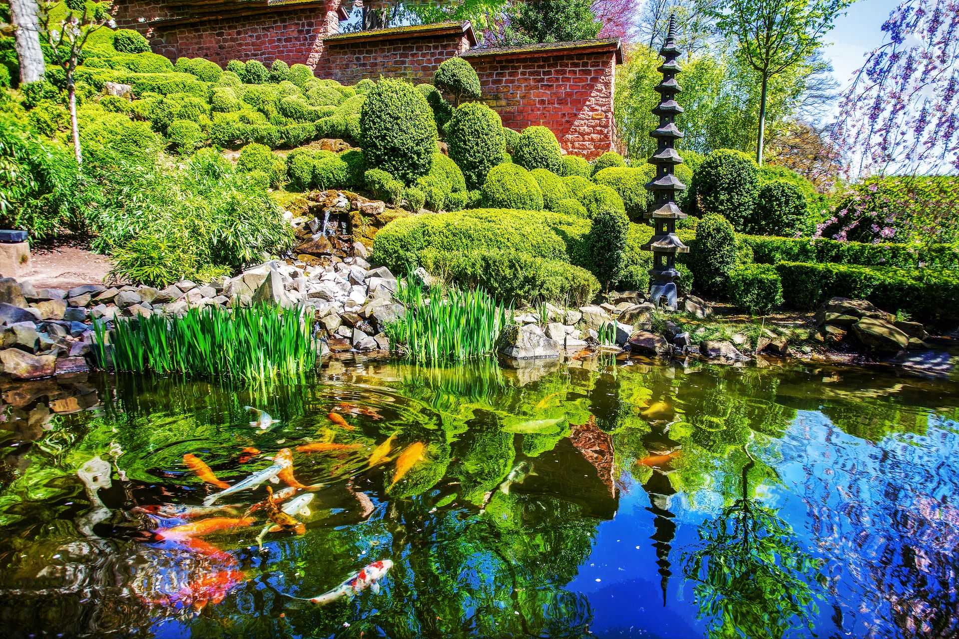 bassin ornement jardin