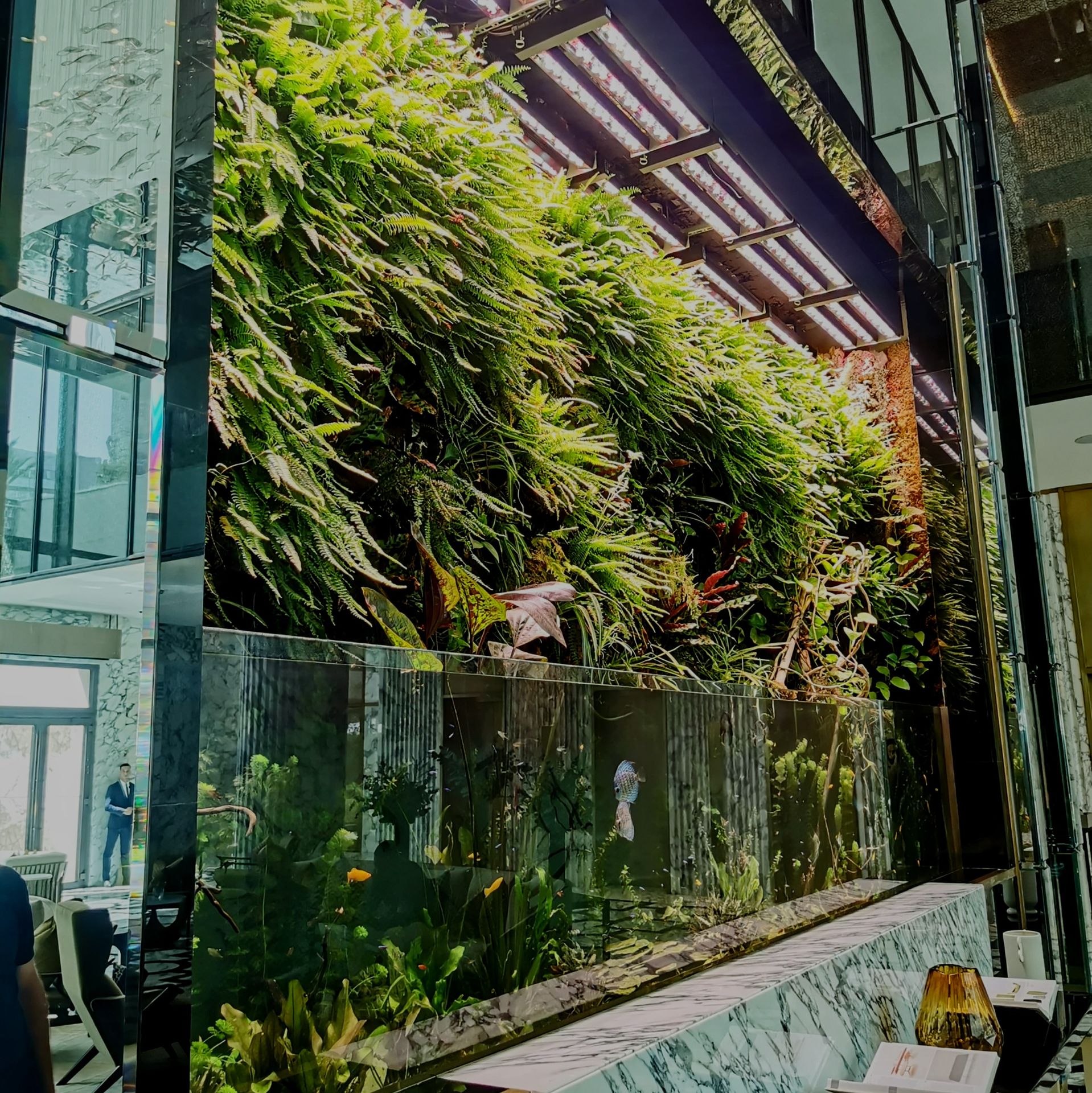 paludarium terrarium rmc casablanca