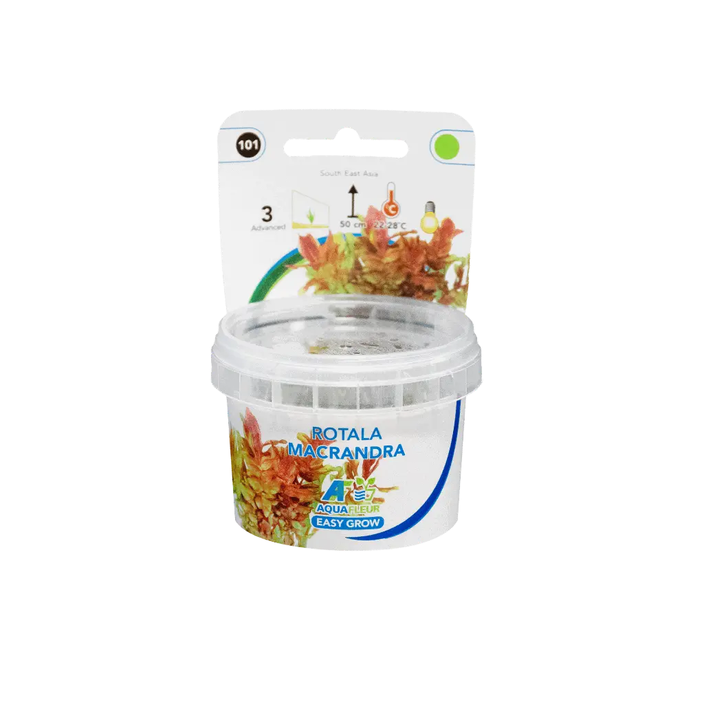 8715897322754 ROTALA MACRANDRA PRODUCT.webp