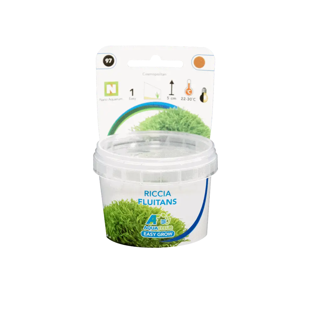 8715897322730 RICCIA FLUITANS PRODUCT.webp