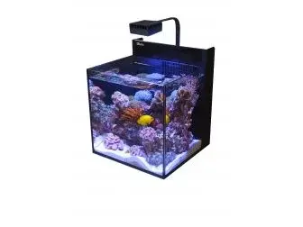 max-nano-g2-redsea.webp