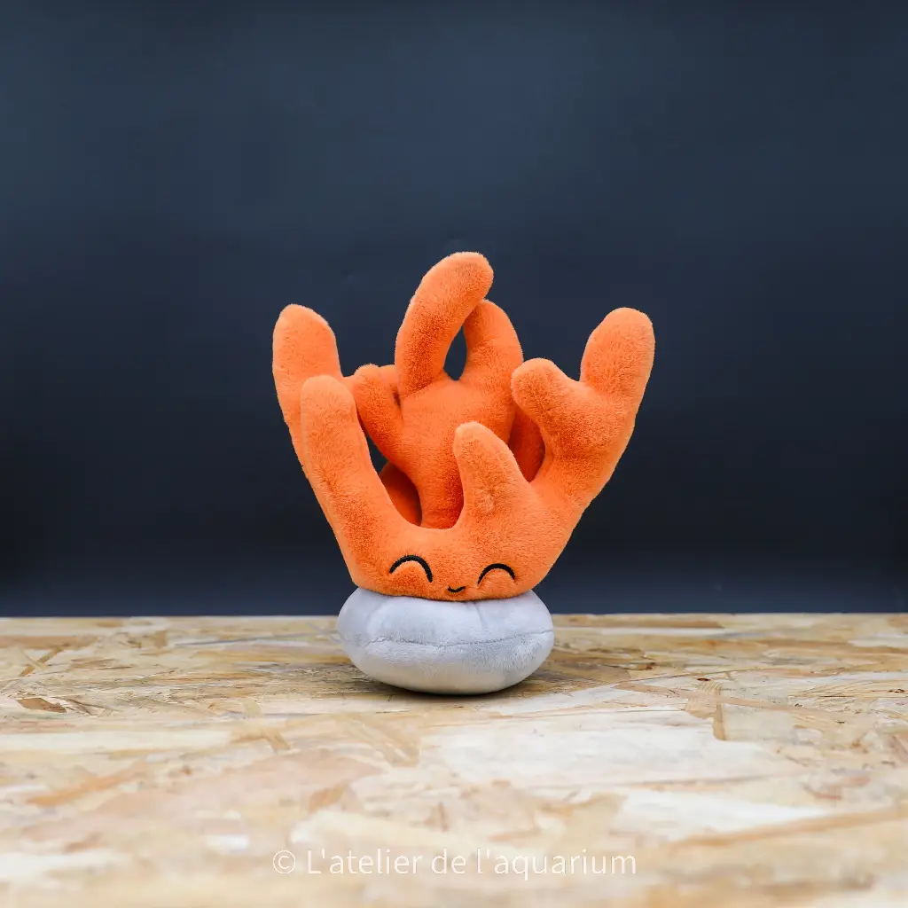 PELUCHE CORAIL