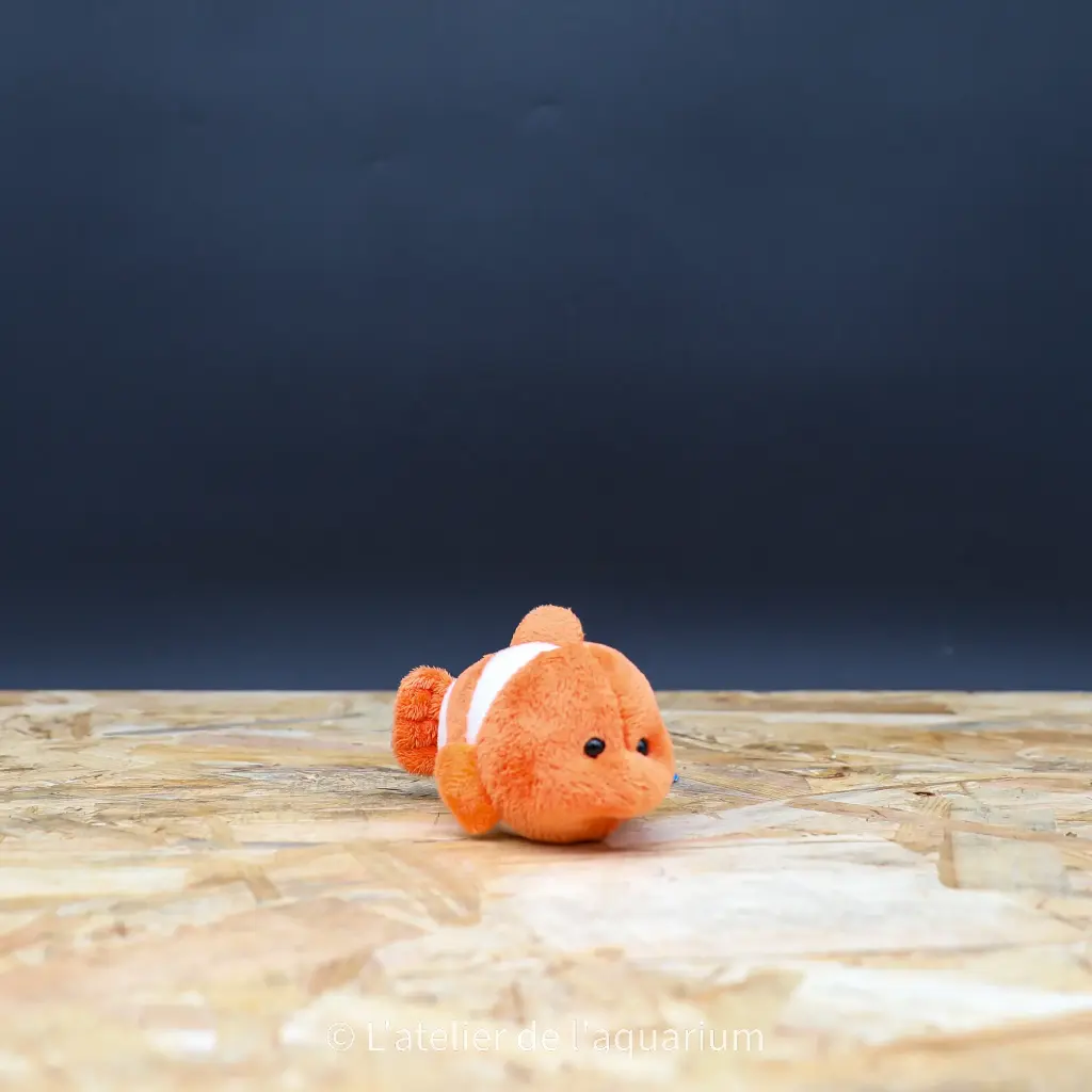 PELUCHE POISSON CLOWN