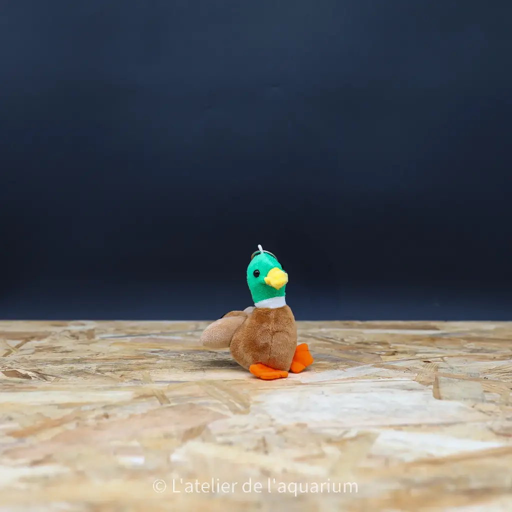 PORTE-CLÉ CANARD