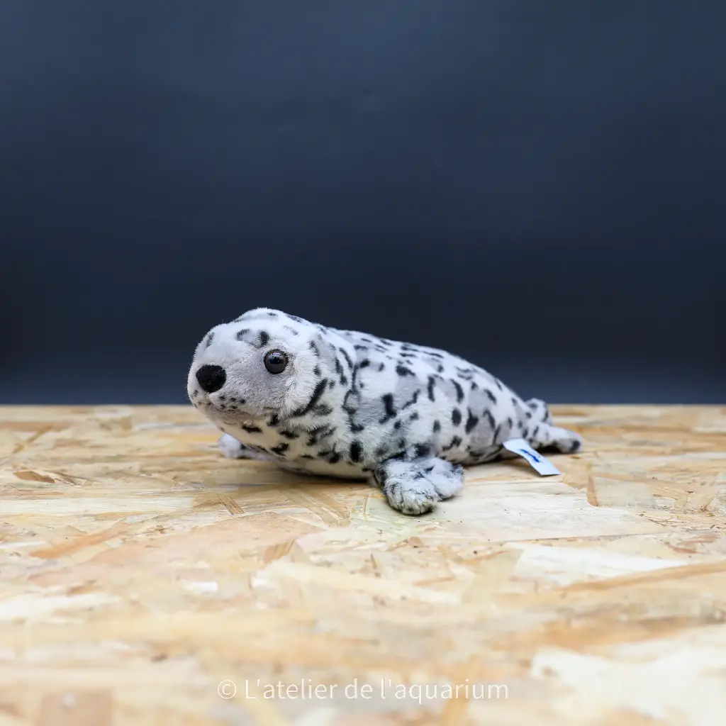 PELUCHE PHOQUE GRIS