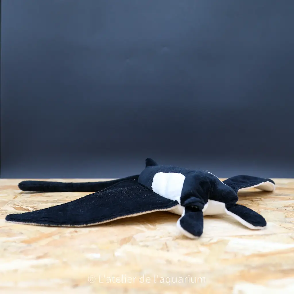 PELUCHE RAIE MANTA