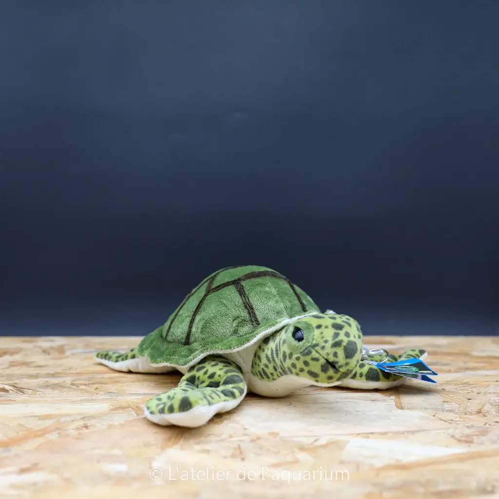 PELUCHE TORTUE