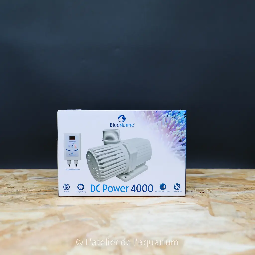 BM DC POWER 4000