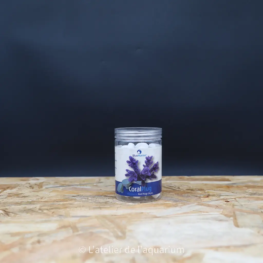 BM CORAL PLUG 24 PCS