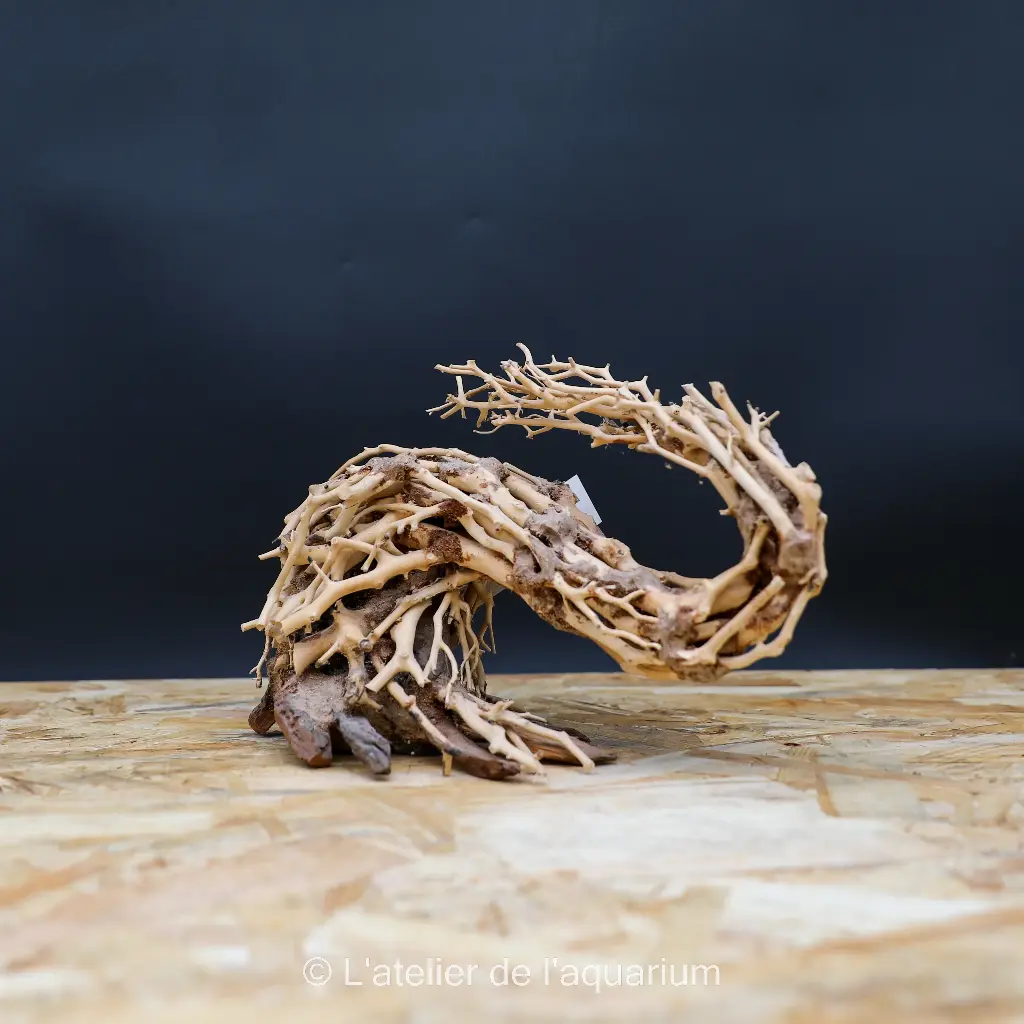 BONSAI WAVE L