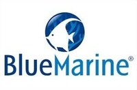 BLUE MARINE