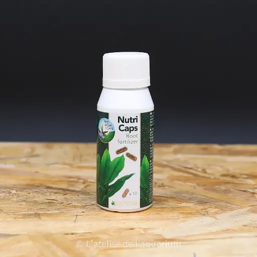 [A5010145] COLOMBO FLORA NUTRI CAPS 10X