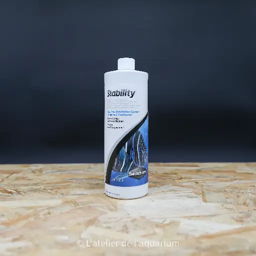 STABILITY 1L