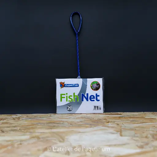 [A9050045] SF EPUISETTES AQUARIUM 20 CM