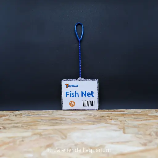 [A9050020] SF EPUISETTES AQUARIUM 15 CM