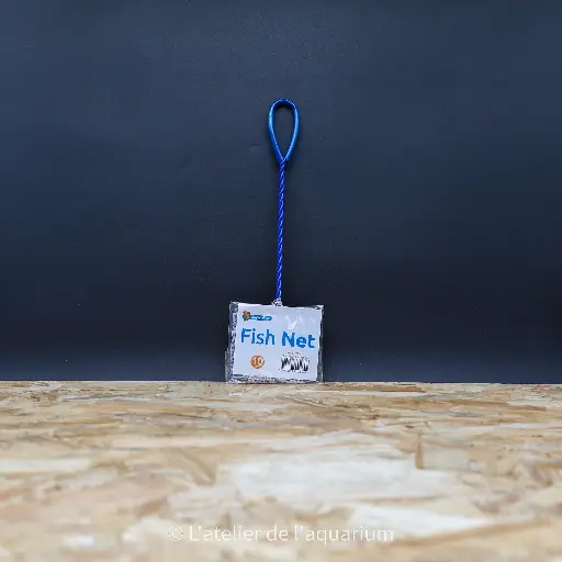 [A9050030] SF EPUISETTES AQUARIUM 10 CM