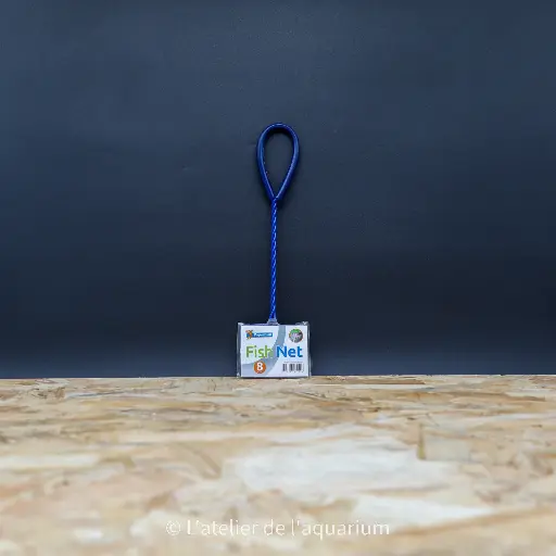 [A9050005] SF EPUISETTES AQUARIUM 8 CM