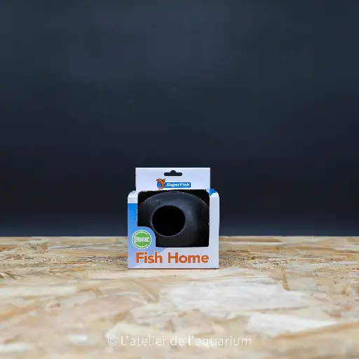 [A4040235] SF FISH HOME BALLE