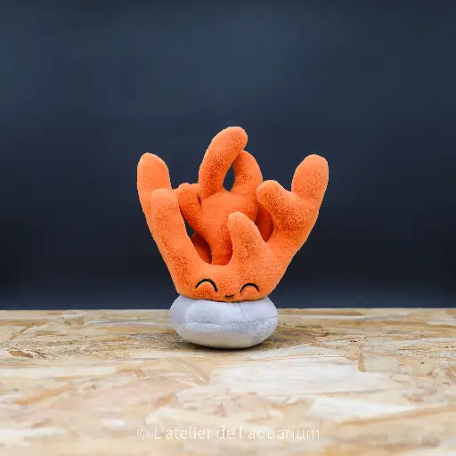 PELUCHE CORAIL