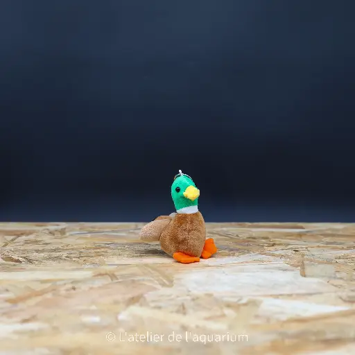 [30881] PORTE-CLÉ CANARD