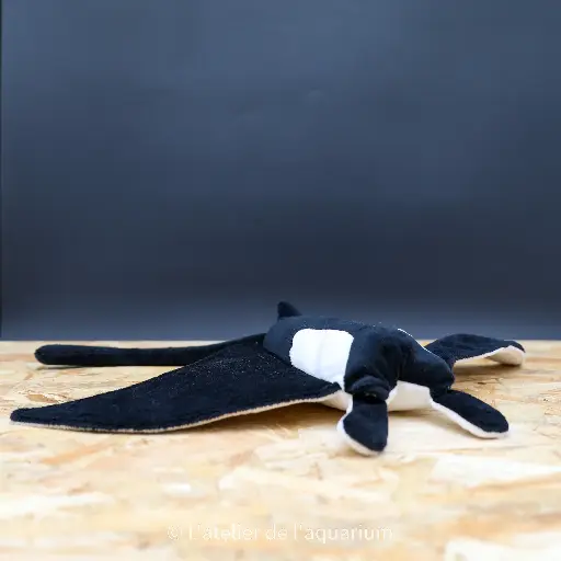 PELUCHE RAIE MANTA