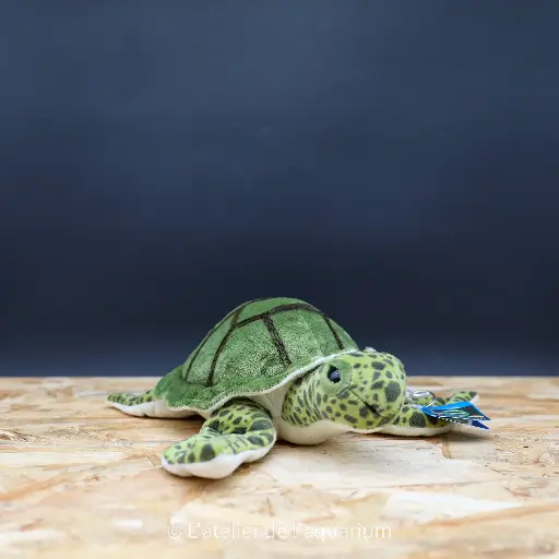 PELUCHE TORTUE