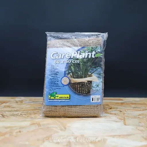 [1064353] CARE PLANT 60 x  60