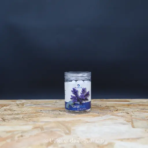 [N7090347] BM CORAL PLUG 24 PCS