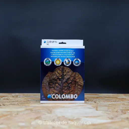 [A5010840] COLOMBO CATAPPA 10 PCS