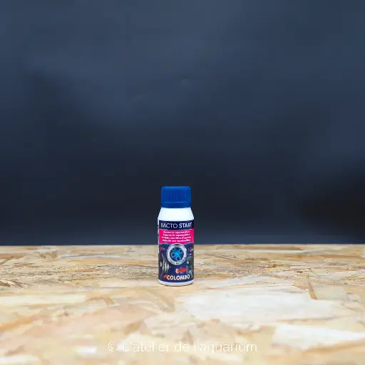 [A5010905] COLOMBO BACTO START 100 ML