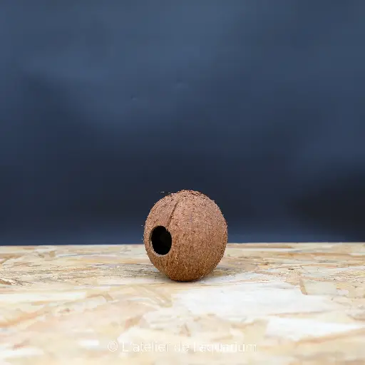 [J6151400] COCOS CAVA 1/1M JBL
