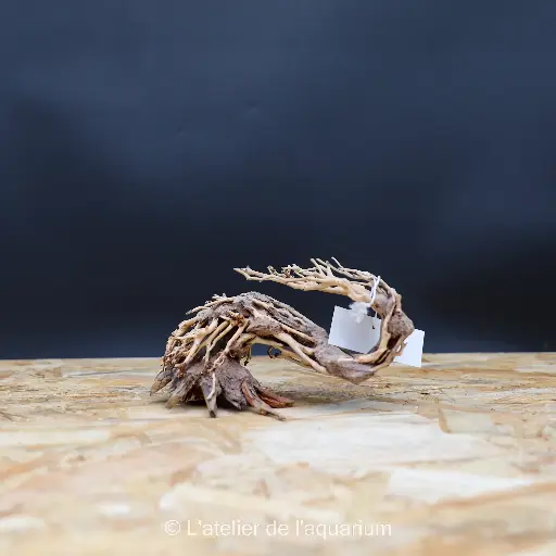 [A4080200] BONSAI WAVE M