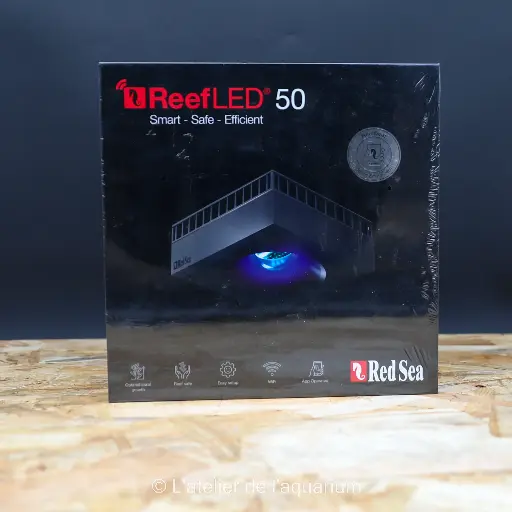 [R35110] REEFLED 50
