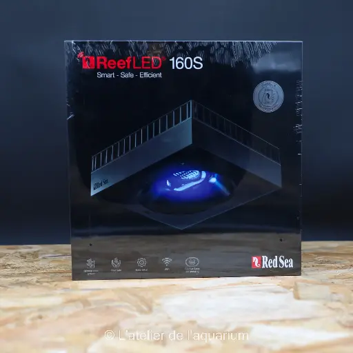 [R35130] REEFLED 160S