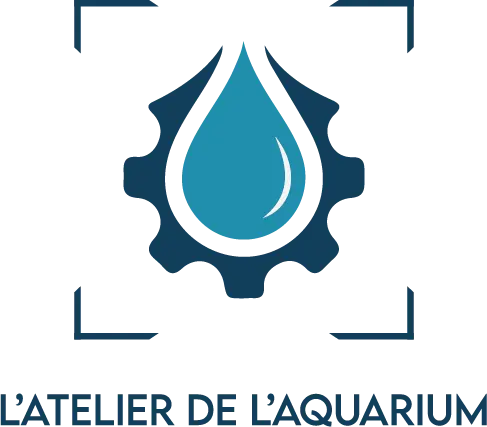 L'atelier de l'aquarium